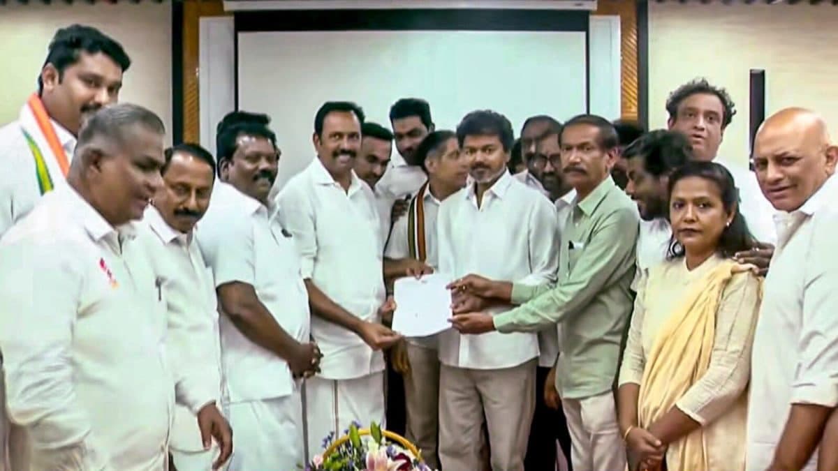 Vijay's Political Ascent Reshapes INDIA Alliance Dynamics in South India